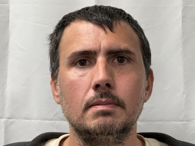 Steven A Long a registered Sex or Violent Offender of Indiana