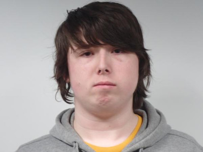 David E Freeman Jr a registered Sex or Violent Offender of Indiana