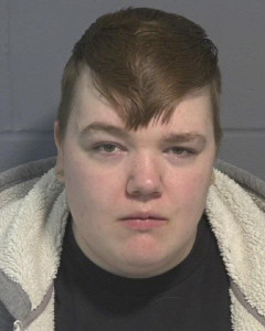 Kaleigh Dawn Meier a registered Sex or Violent Offender of Indiana