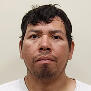 Jose Wilfredo Flores a registered Sex Offender or Child Predator of Louisiana