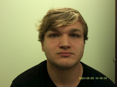 Dustin Christopher Ellis a registered Sex Offender or Child Predator of Louisiana
