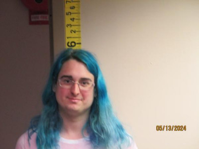 Tyler Alanson Holland a registered Sex Offender or Child Predator of Louisiana