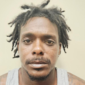 Lemoine Warner Jr a registered Sex Offender or Child Predator of Louisiana