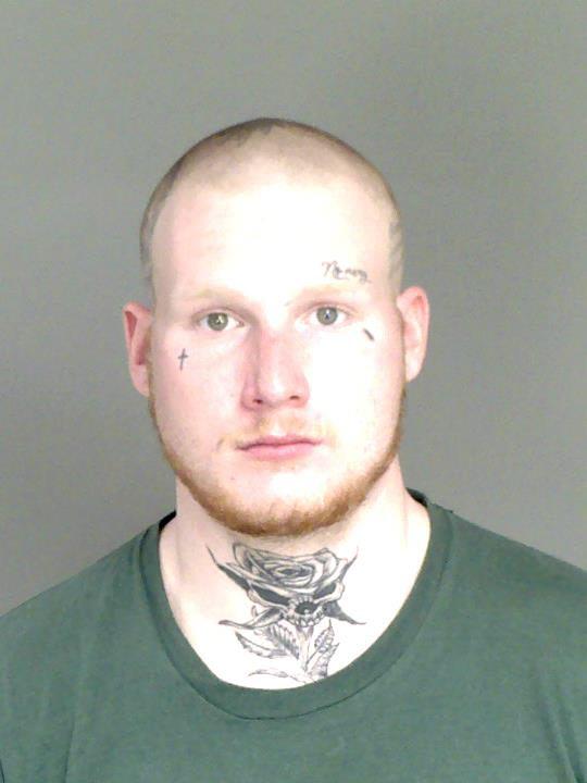 Andrew Nicholas Bozich a registered Sex Offender of Michigan