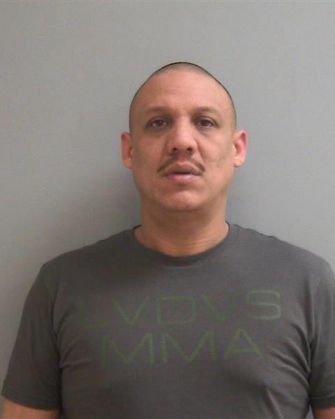 Jose Luis Roman a registered Sex Offender of Michigan