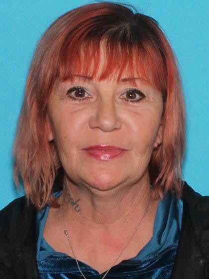 Sharon Kaye Tesmer a registered Sex Offender of Michigan