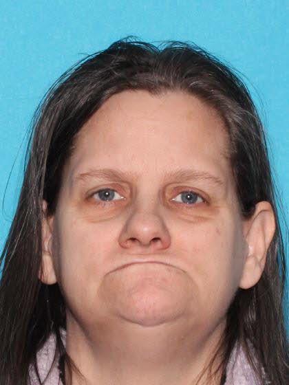 Dawn Marie Leblanc a registered Sex Offender of Michigan