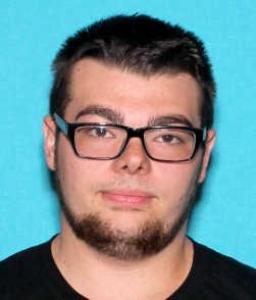 Austin Lee Balowski a registered Sex Offender of Michigan
