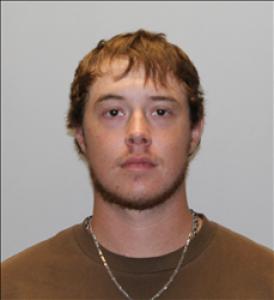 Dalton Patrick Hicks a registered Sex Offender of South Carolina