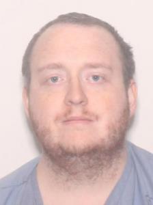Adam Lee Nelson a registered Sexual Offender or Predator of Florida