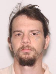 Brian Edward Morgan a registered Sexual Offender or Predator of Florida