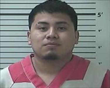 Ricardo De Jesus Mendoza-melgar a registered Sex Offender or Child Predator of Louisiana