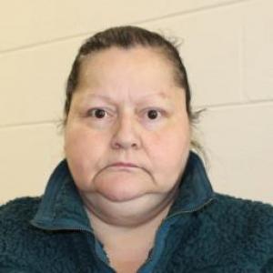 Michele Arlene Saenz a registered Sex Offender of Colorado