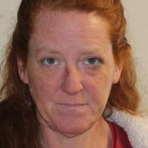 Brandy Diane Biller a registered Sex Offender of Colorado