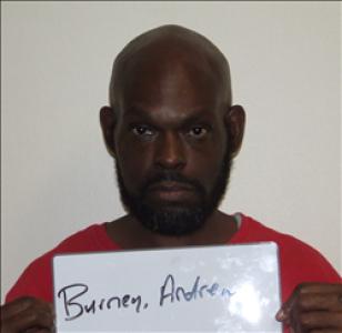 Andrew Burney a registered Sex Offender of Georgia