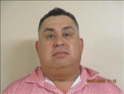 Rene Saul Palomares Martinez a registered Sex Offender of Georgia