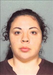 Delia Irene Mendoza a registered Sex Offender of Nevada