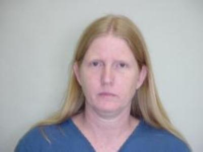 Diane G Bellin a registered Sexual Offender or Predator of Florida