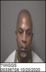 Martin Allen Twiggs a registered Sexual Offender or Predator of Florida