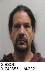 Robert David Gibson a registered Sex Offender of North Carolina