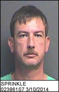 Joshua Sprinkle a registered Sex Offender of South Carolina