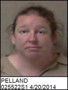 Christina M Pelland a registered Sex Offender of Missouri