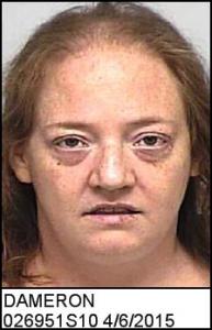 Tina Marie Dameron a registered Sex Offender of New York