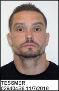 Mark Steven Tessmer a registered Sexual Offender or Predator of Florida