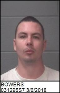 Randall Austin Bowers a registered Sexual Offender or Predator of Florida