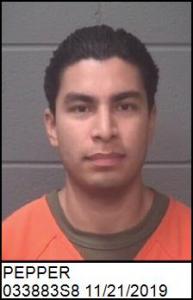 Oswaldo Antonio Pepper a registered Sexual Offender or Predator of Florida