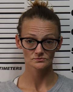 Stephanie Marie Bryan a registered Sex Offender of Tennessee
