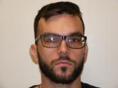 Matei Alexandrescu a registered Sex Offender of California