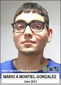 Mario Andres Montiel-gonzalez a registered Sex Offender of Iowa