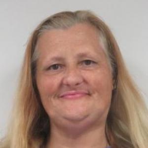 Michelle Elliott a registered Sex Offender of Illinois