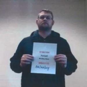 Bradley D Forsell a registered Sex Offender of Illinois
