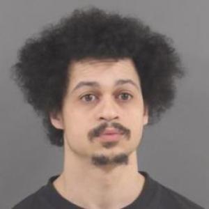 Devin M Kochevar a registered Sex Offender of Illinois