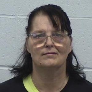 Lynn Ann Like a registered Sex Offender of Illinois