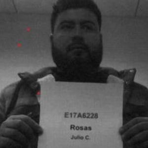 Julio C Rosas a registered Sex Offender of Illinois