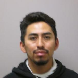 Adrian Fernando Damian a registered Sex Offender of Illinois