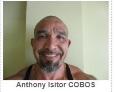 Anthony Isitor Cobos a registered Sex Offender of Illinois