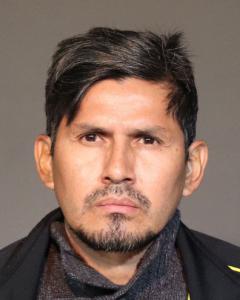 Edgar Patino a registered Sex Offender of New York