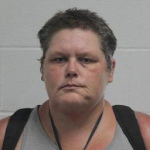 Tonya Lee Mason a registered Sex Offender of Missouri