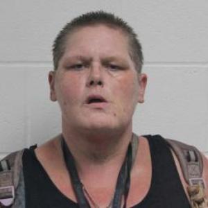 Tonya Lee Mason a registered Sex Offender of Missouri