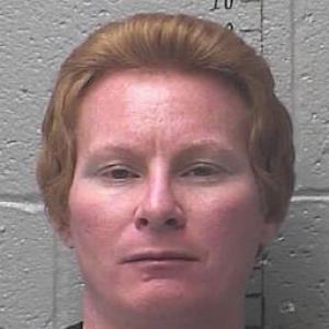 Christoher Dale Ellison a registered Sex Offender of Missouri