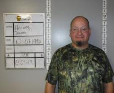 Dominic Emmanuel Hanway a registered Sex Offender of Missouri