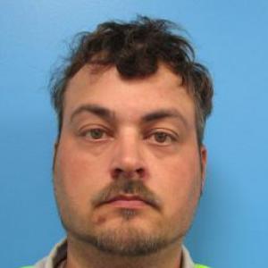 Francesco Andrea Papalia Jr a registered Sex Offender of Missouri