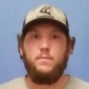 Brenden Anthony Diesing a registered Sex Offender of Missouri