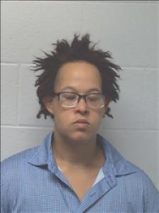 Leeanna Rose Cheek a registered Sex, Violent, or Drug Offender of Kansas
