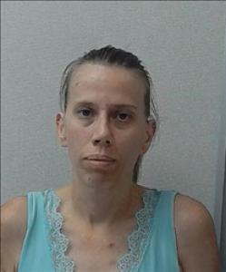 Heidimarie Louise Salisbury a registered Sex, Violent, or Drug Offender of Kansas