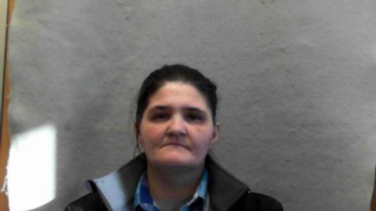 Melinda Sue Jenkins a registered Sex Offender of Ohio